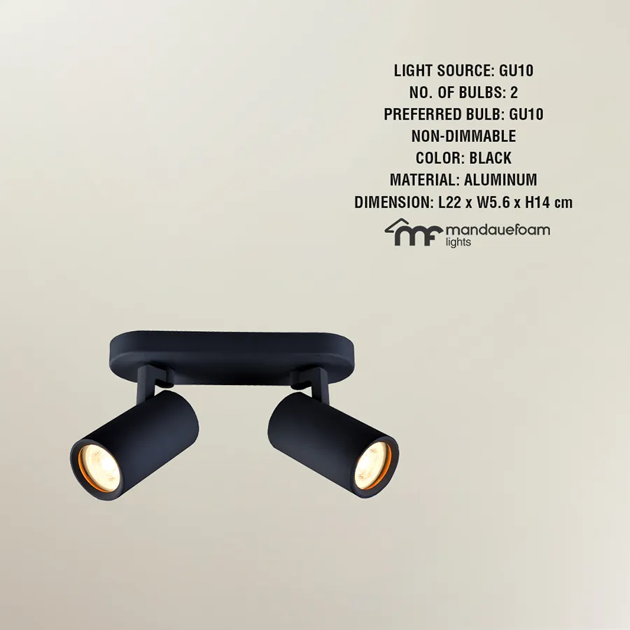 Modern 2-Light Adjustable Hake Spotlight