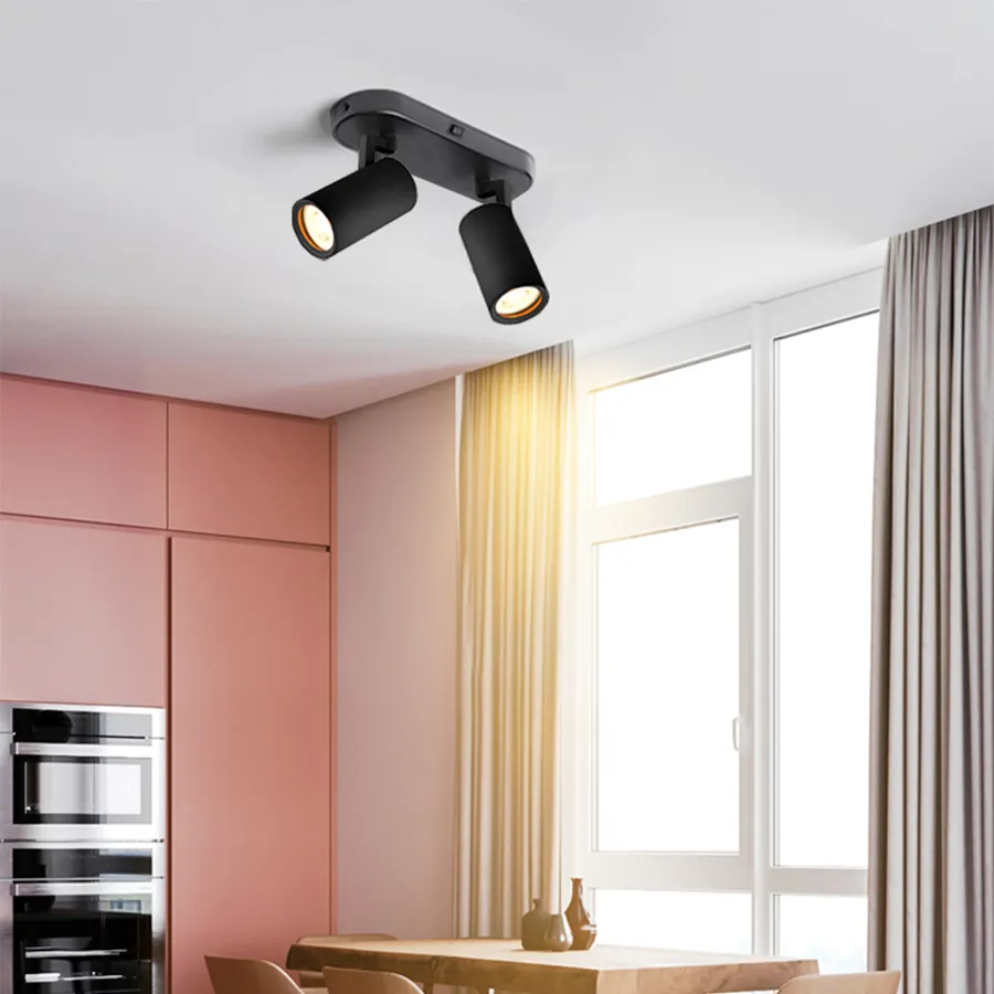 Modern 2-Light Adjustable Hake Spotlight