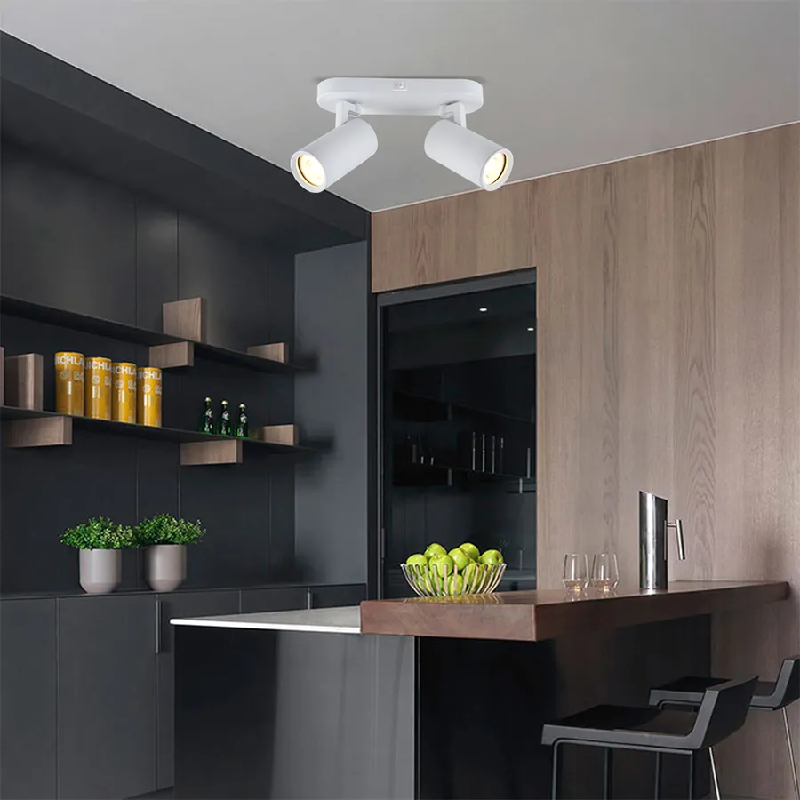 Modern 2-Light Adjustable Hake Spotlight