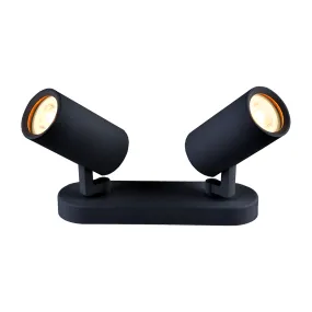 Modern 2-Light Adjustable Hake Spotlight