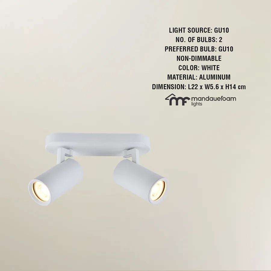 Modern 2-Light Adjustable Hake Spotlight