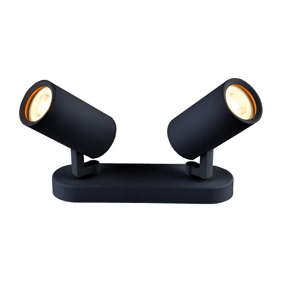 Modern 2-Light Adjustable Hake Spotlight