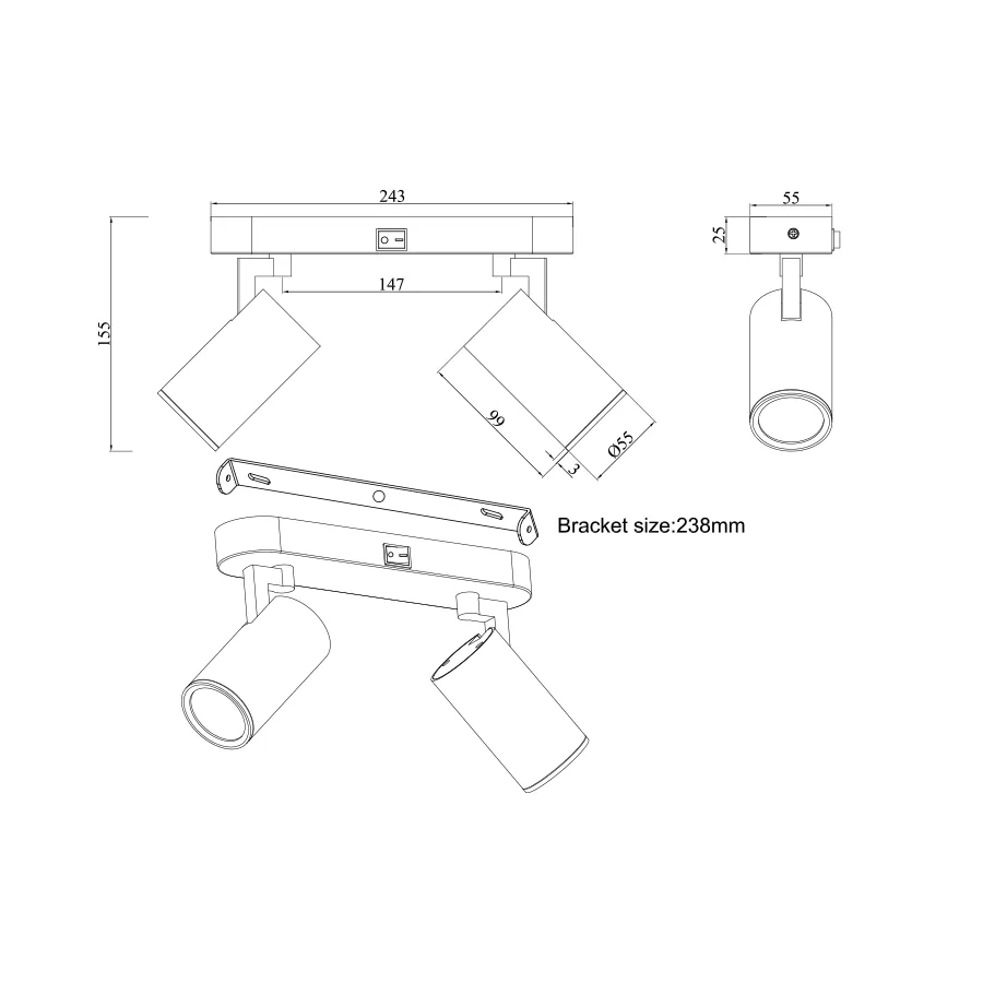 Modern 2-Light Adjustable Hake Spotlight